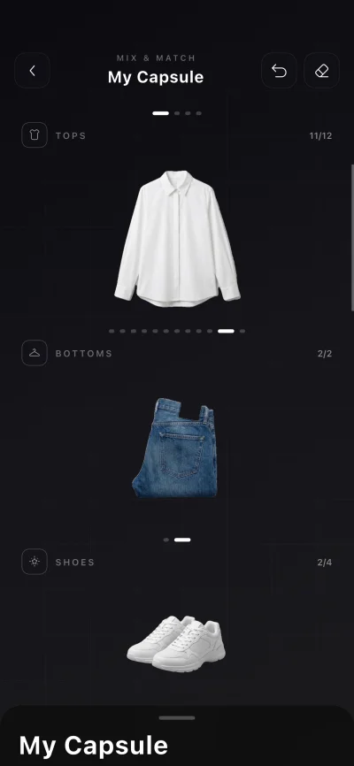 SELION.AI Capsule Wardrobe showing a coordinated set of owned clothes